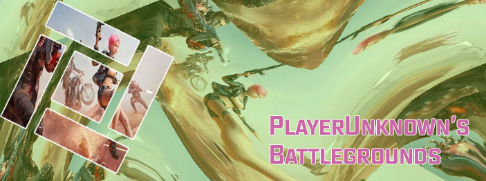 Pubg online play